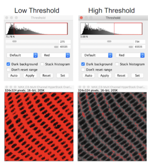 <p>setting the minimum and maximum pixel values to be included or excluded from a resultant image.</p>