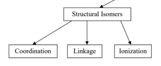 <p>compounds that can have different connectivity</p>