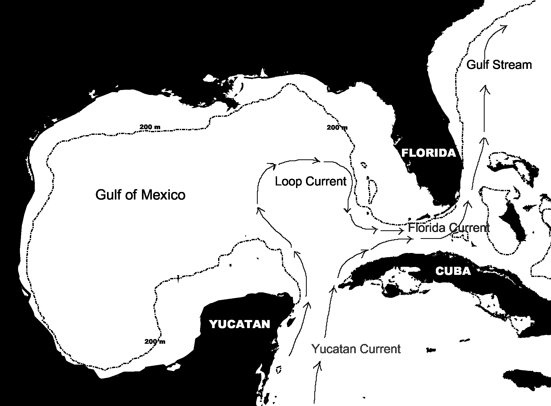 <p>Going in and out of marginal sea </p>