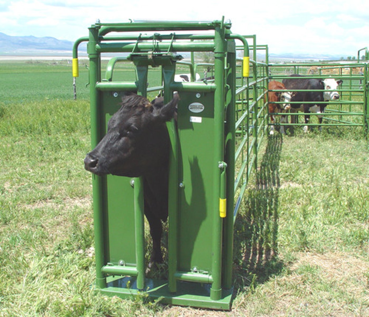 <p>prevents the animal from backing away by locking against its neck</p>