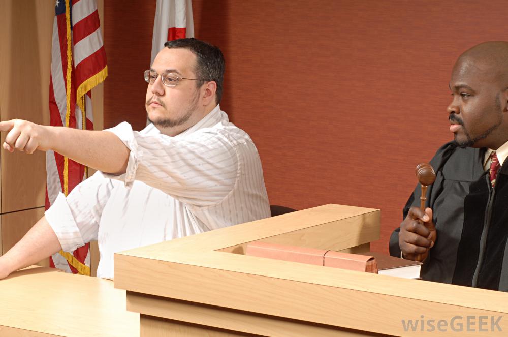 <p>Witness</p>