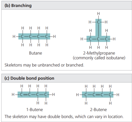 <p>Which two pairs of molecules in Figure 4.5 are isomers? For each pair, identify the type of isomer.</p>