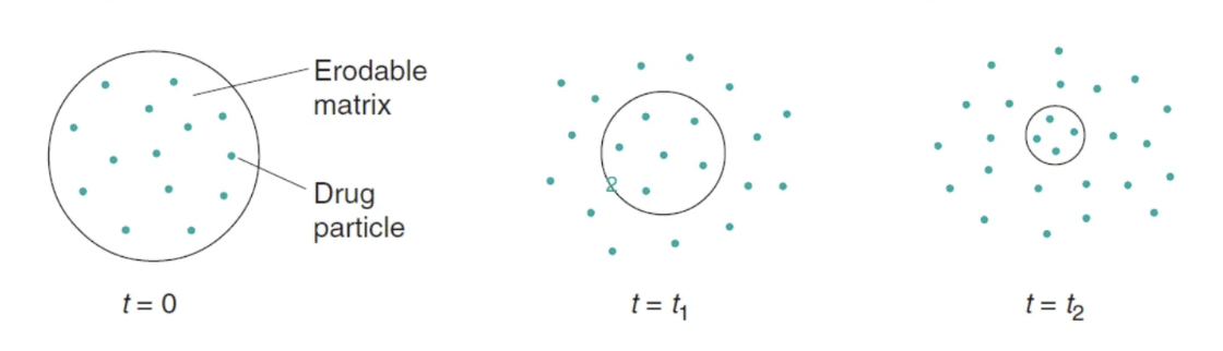 <ul><li><p>the erosion of the matrix in which the drug is dispersed</p><ul><li><p>i.e. a surface erosion → continuous reduction in tablet weight during the course of the release process</p></li></ul></li></ul><p></p>