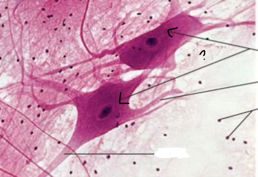 <p>What is the arrow pointing to?</p>