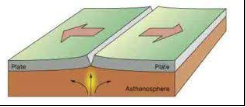 <p>What is this type of plate movement called?</p>