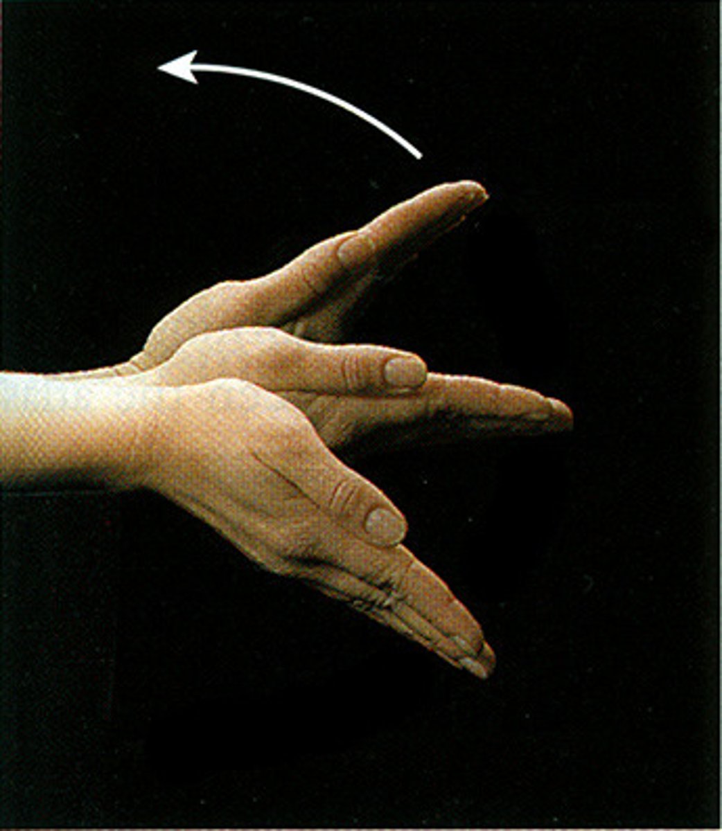 <p>identify the action</p>