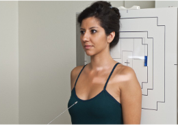 <p>name the position/projection</p>