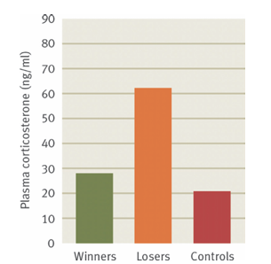 <p>What’s the main message?</p>