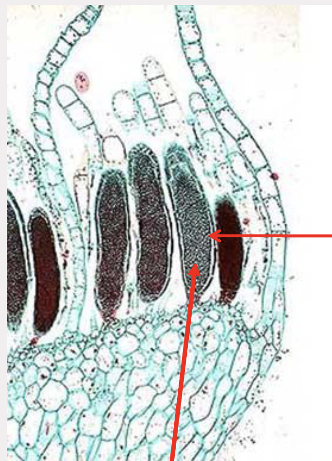 <p>What is this?</p>