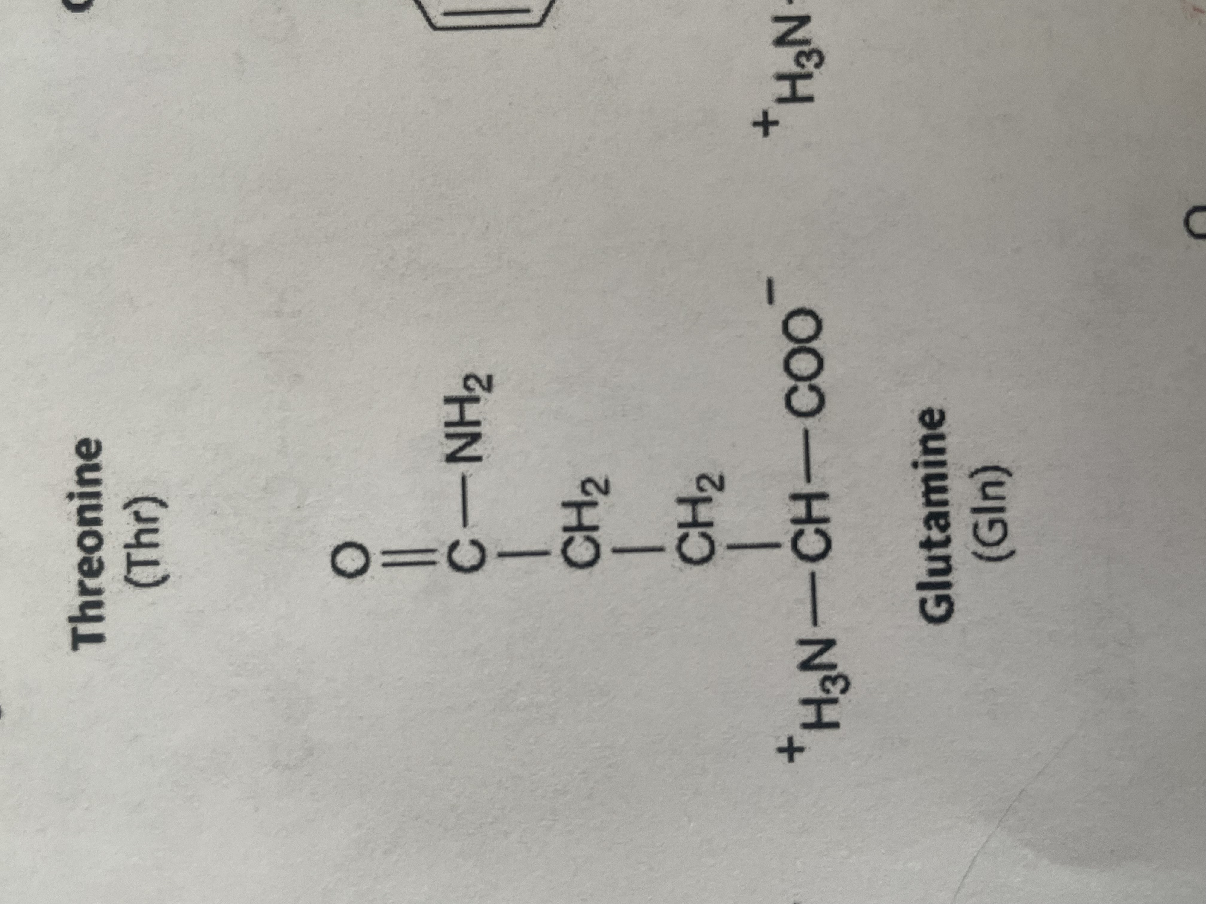<p>polar (hydrophilic)</p>
