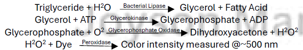 <p>Enzymatic Glycerokinase</p>
