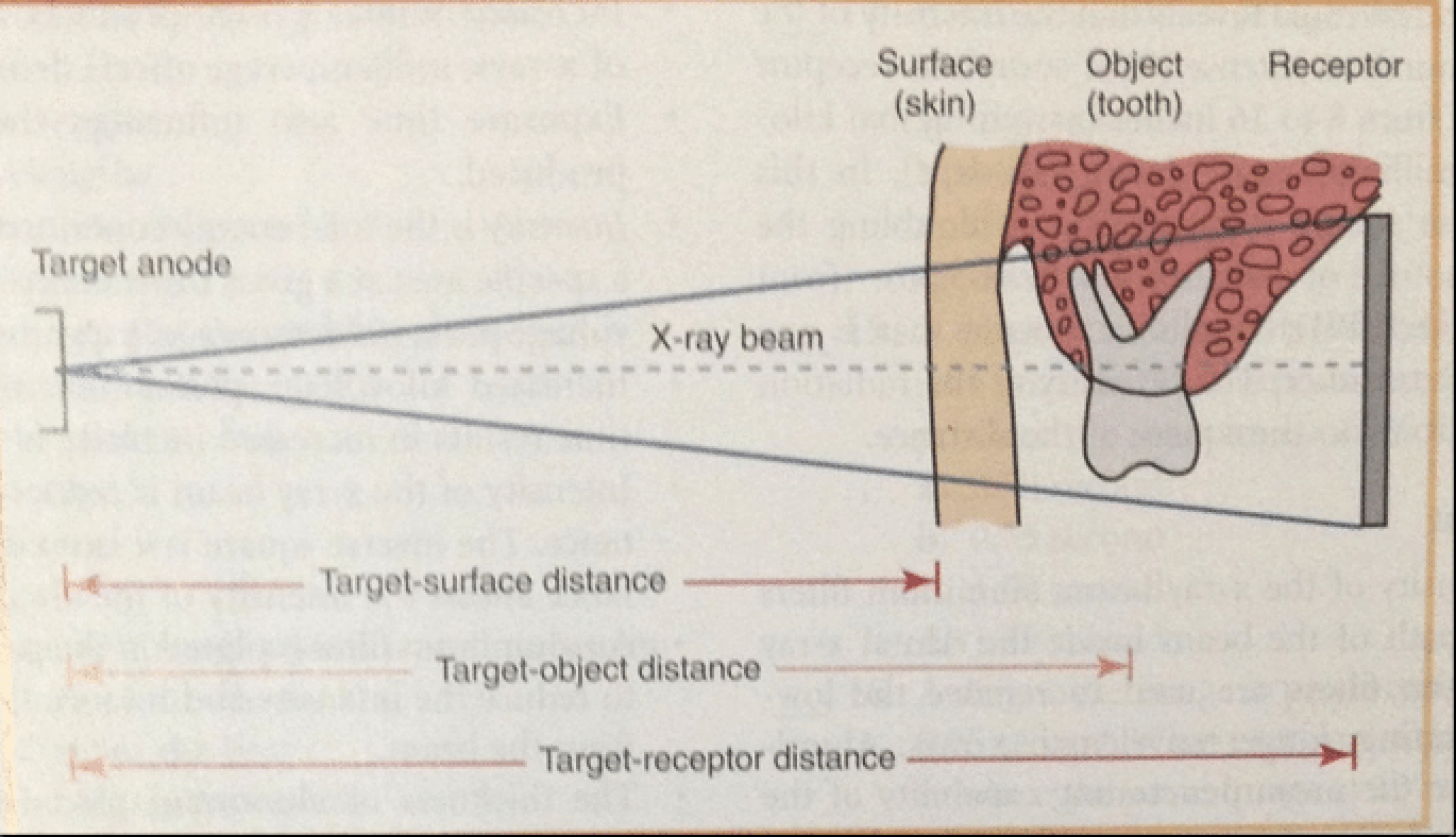 <ol><li><p>Target-Surface distance → distance between xray source and client skin</p></li><li><p>Target-object distance → distance between xray source and tooth </p></li><li><p>Target-Receptor distance → distance between xray source and film receptor </p></li><li><p>Object-film distance → distance between object and the film </p></li></ol><p></p>