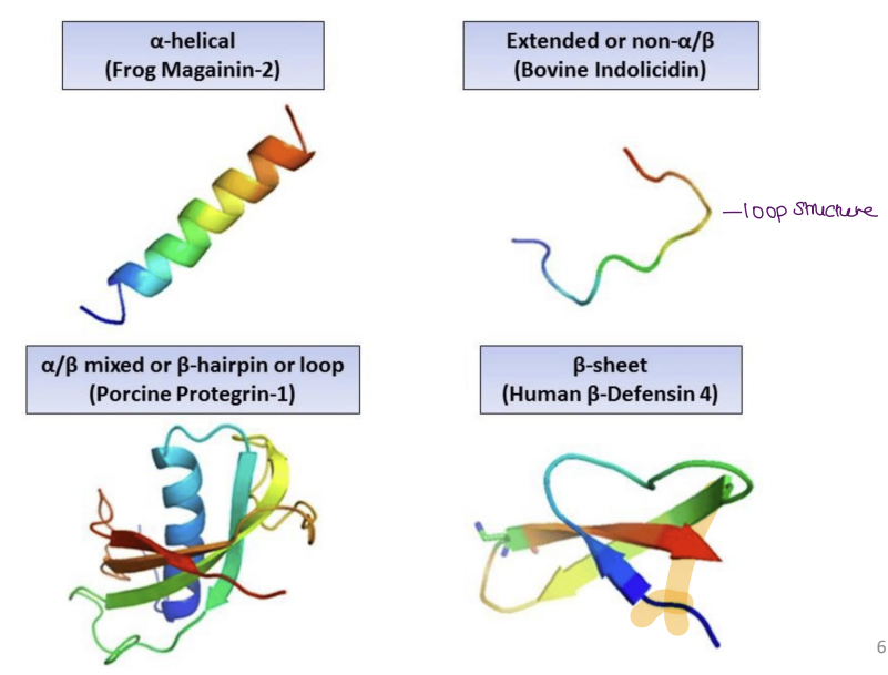 <p>Antimicrobial peptides are short chains of amino acids that kill bacteria by disrupting their cell membranes</p><p>They are sourced naturally from humans (146), animals (2246), plants (346), and synthetically (1783)." </p>