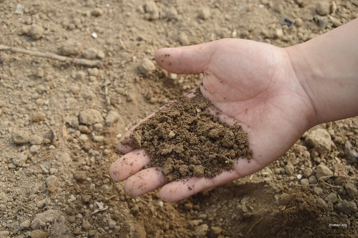<p><span style="background-color: transparent;">Soil particles are larger than silt and clay particles. Because of how large it is, water passes quickly through sandy soils.</span></p><p><span>Soil particles with a diameter ranging from 0.05 to 2.0 millimetres,</span></p>