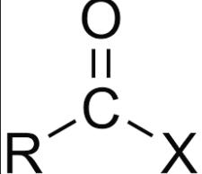 <p>Acyl Halides</p>