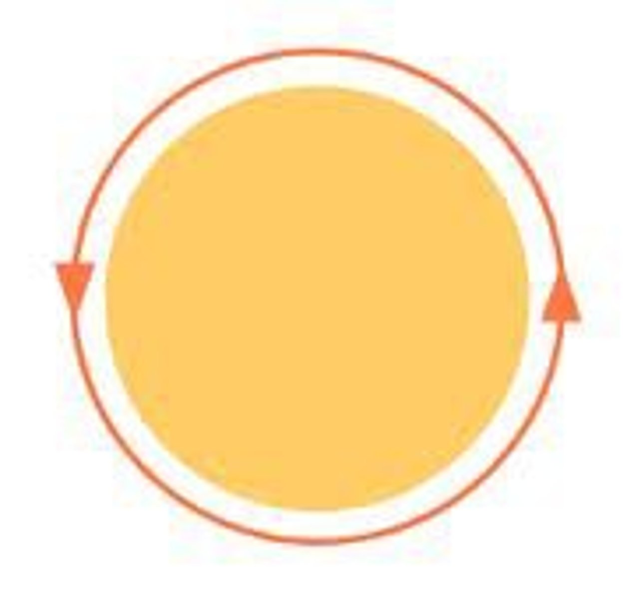 <p>the distance around a circle</p>