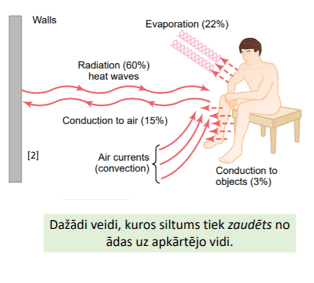 <p>Aptuveni 60% no ķermeņa kopējā siltuma zuduma rodas RADIĀCIJAS jeb siltuma izstarojuma dēļ uz zemāku temperatūru.</p><p>Minētais notiek infrasarkano siltuma staru veidā (elektromagnētiskie viļņi; visi objekti, kuru temperatūra nav absolūtā nulles temperatūrā, izstaro šādus starus). Cilvēka ķermenis izstaro siltuma starus visos virzienos.</p><p>Siltuma stari tiek izstaroti arī no telpu sienām un citiem objektiem uz ķermeni. Ja ķermeņa temperatūra ir augstāka par apkārtējo temperatūru, no ķermeņa tiek izstarots lielāks siltuma daudzums nekā uz ķermeni</p>
