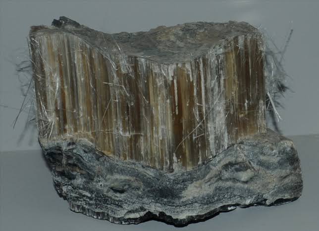 <p>Mineral habit which grows in long, thin, hair-like crystals</p>