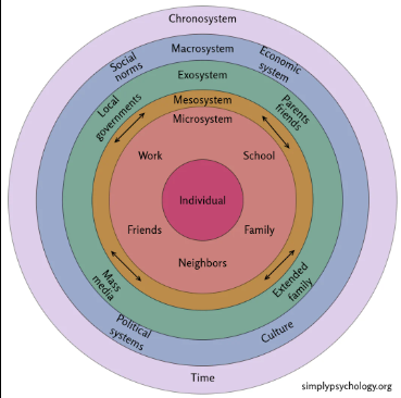 <p>what are the 5 parts of the Ecological Model </p>