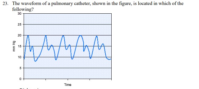<p>The waveform of a pulmonary catheter, shown in the figure, is located in which of the following?</p>