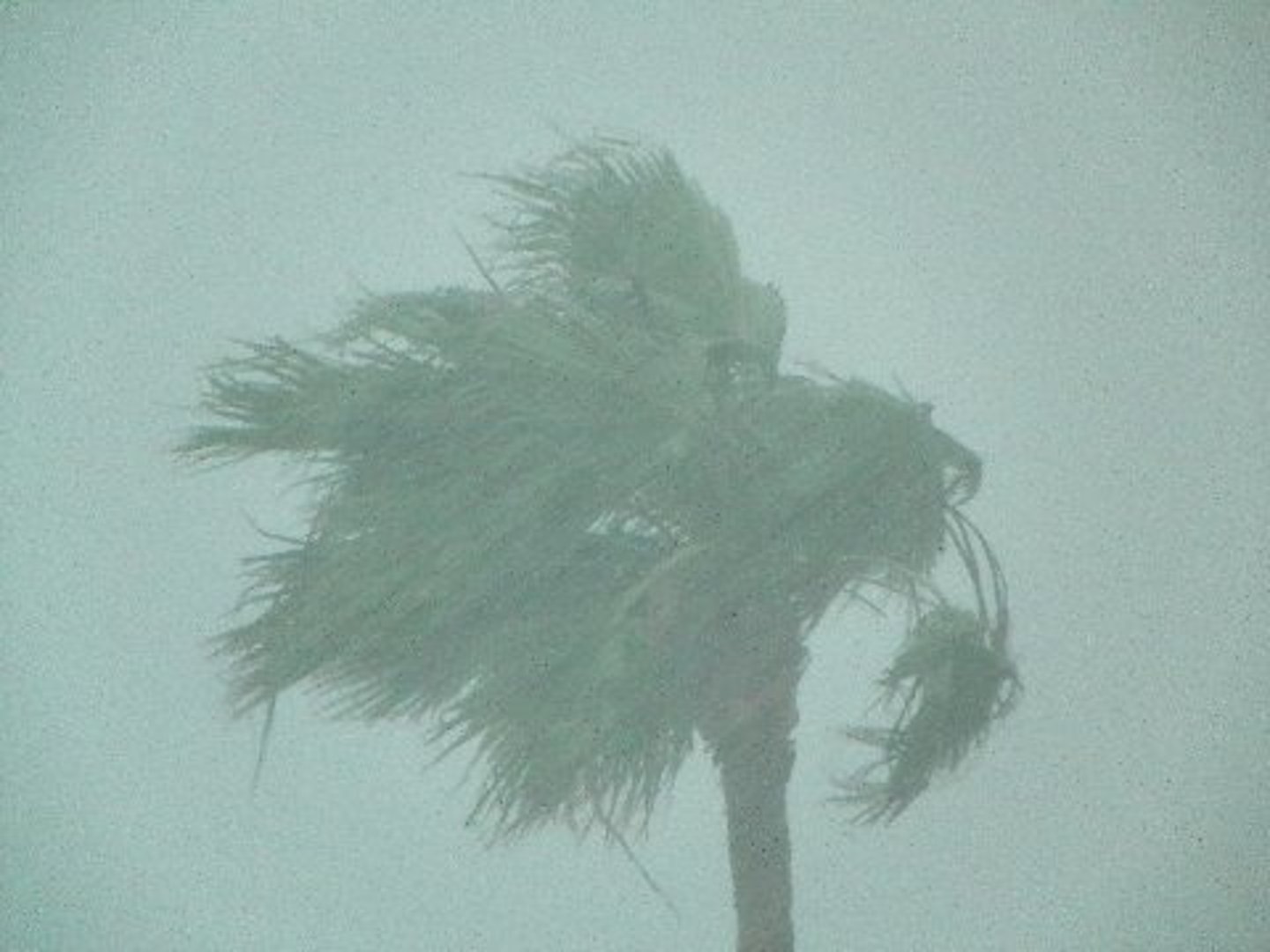 <p>a seasonal prevailing wind in the region of South and Southeast Asia, blowing from the southwest between May and September and bringing rain (the wet monsoon), or from the northeast between October and April (the dry monsoon)</p>