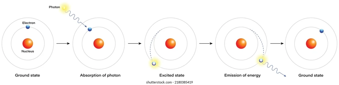 <ol><li><p>Ground state: Electron in lowest energy level</p></li><li><p>Absorption: Photon (energy) absorbed → electron move to high energy level (Excited state - Unstable)</p></li><li><p>Emission: Electron fall to lower energy level emitting Photon (energy)</p></li></ol><p></p>