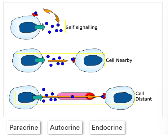 <p>What is receptor cell mediated signalling, label the image correctly</p>