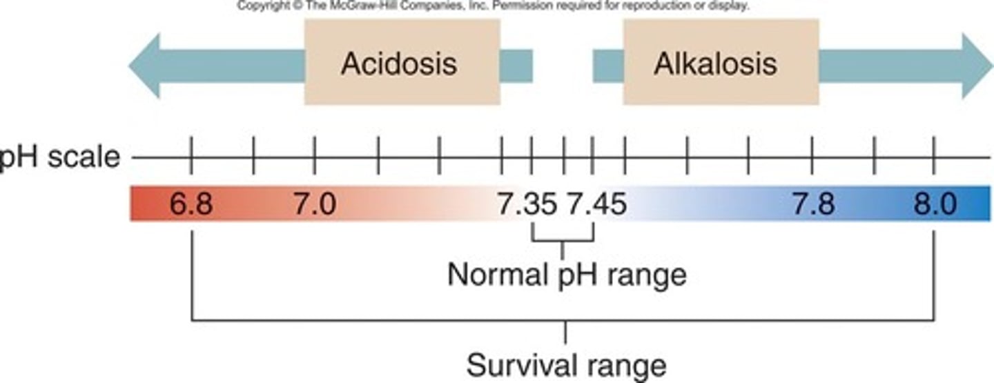 <p>- normal pH: 7.35-7.45</p><p>- balance between bicarbonate &amp; hydrogen ions (H+)</p><p>- renals allow for adequate pass of byproducts (lactate) to level out pH</p>