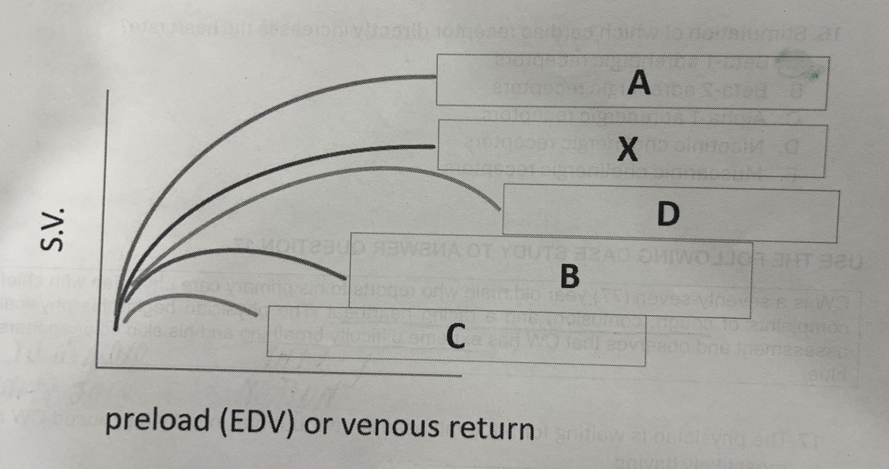 <p>If curve X represents a normal heart, which curve would represent the normal heart that is exercising?</p>