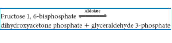 <p><span>The enzyme aldolase catalyzes the following reaction in the glycolytic pathway:&nbsp;(see image). </span></p><p><span>The ΔG°′ for the reaction is +23.8 kJ mol−1, whereas the ΔG in the cell is −1.3 kJ mol<sup>−1</sup>. Explain how the reaction can be endergonic under standard conditions and exergonic under intracellular conditions.&nbsp;</span></p>