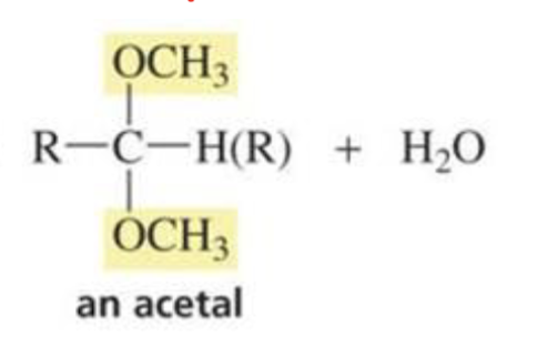 <p>Acetal</p><p>(reactions of aldehydes and ketones w/ alcohol)</p>