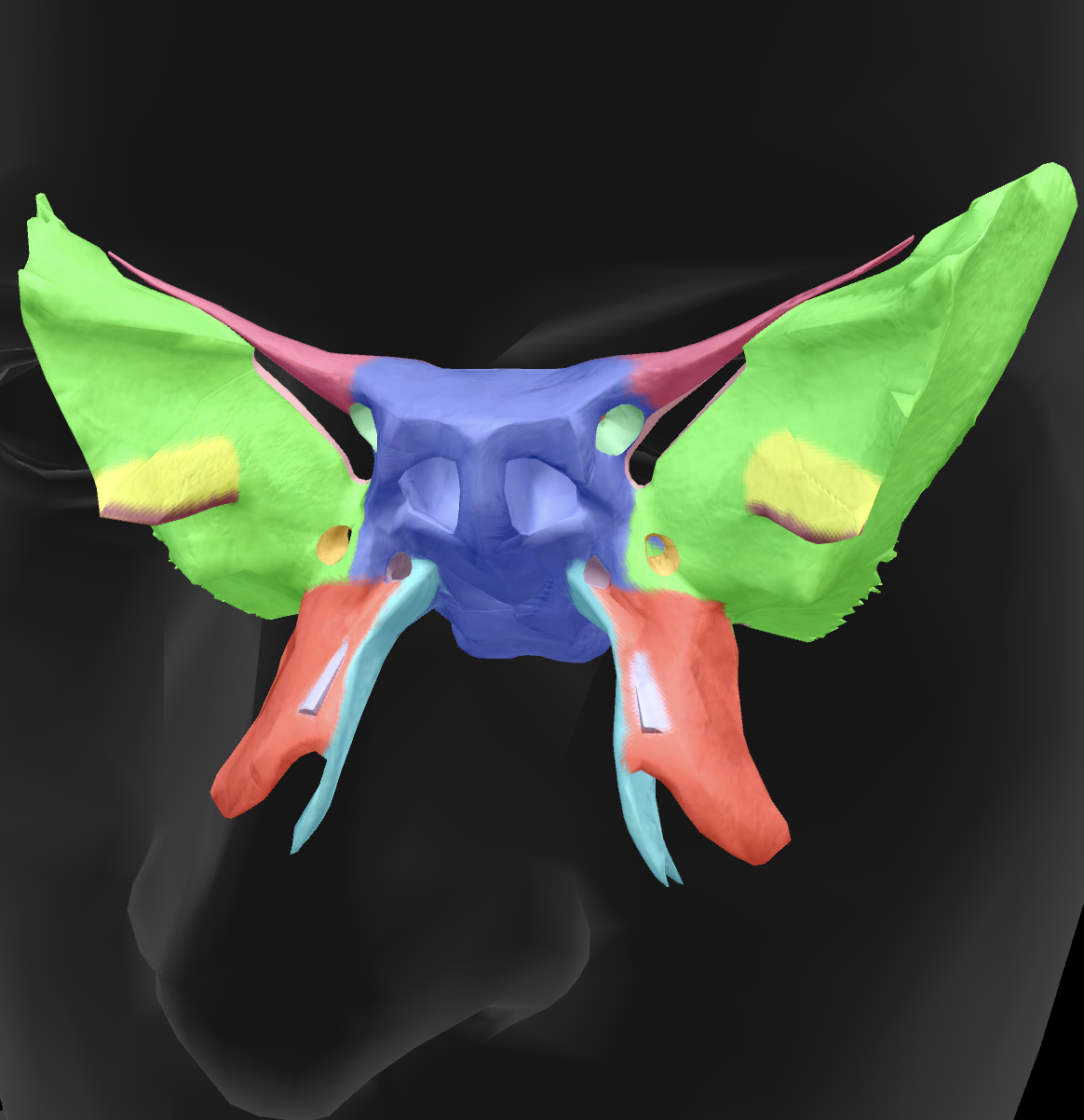 <p>What is the name of this feature?</p>