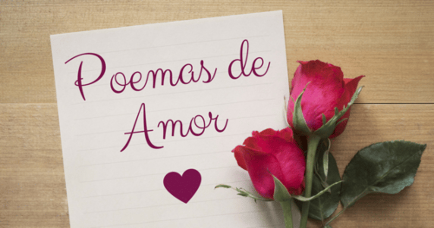 <p>poesía subjetiva que comunica los sentimientos del poeta</p>