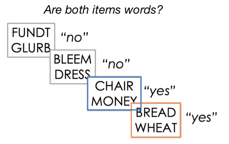 <p>Participants indicate whether the stimuli are words or non-word</p>