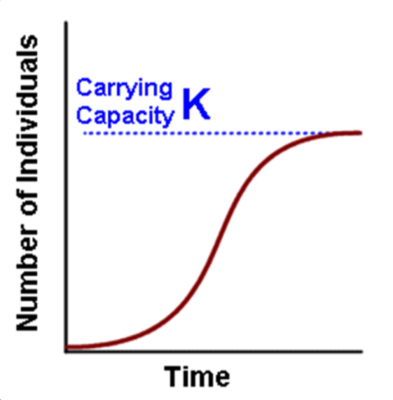 <p><span>Logistical population growth will occur when population numbers begin to approach a finite carrying capacity. When the population approaches this carrying capacity, environmental resistance occurs, which's slows the rate of growth resulting in the sigmoidal growth curve (the S shape in the graph).</span></p>