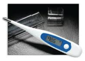 <p>How is a <strong>rectal thermometer</strong> used in veterinary medicine?</p>