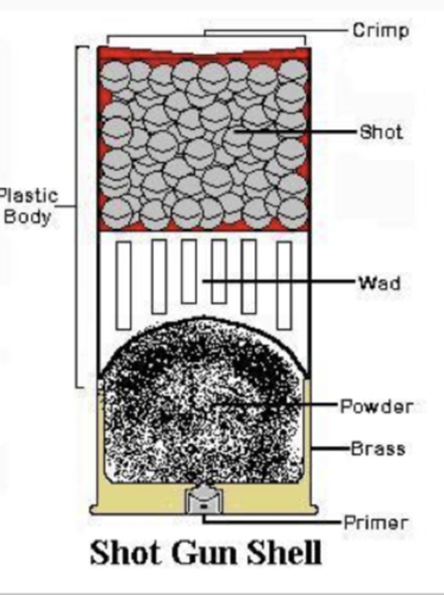 <p>-Handgun uses the standard cartridge case (1 per bullet)</p><p>-Shotgun has primer, gunpowder and a wad of plastic that pushes all pellets out by pressure</p>