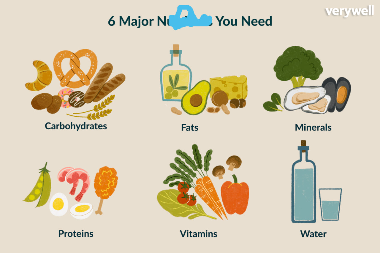 <p><em>= The good parts in food (vitamins and minerals) your body needs to stay healthy.</em></p><p></p><p><strong><mark data-color="green" style="background-color: green; color: inherit">Food that provide essential n______</mark></strong> and promote relaxation can help to balance out your body’s stress response.</p><p><strong><mark data-color="green" style="background-color: green; color: inherit">a lack of&nbsp;essential n______</mark></strong></p><p><strong><mark data-color="green" style="background-color: green; color: inherit">is rich in essential n______</mark></strong></p><p></p>