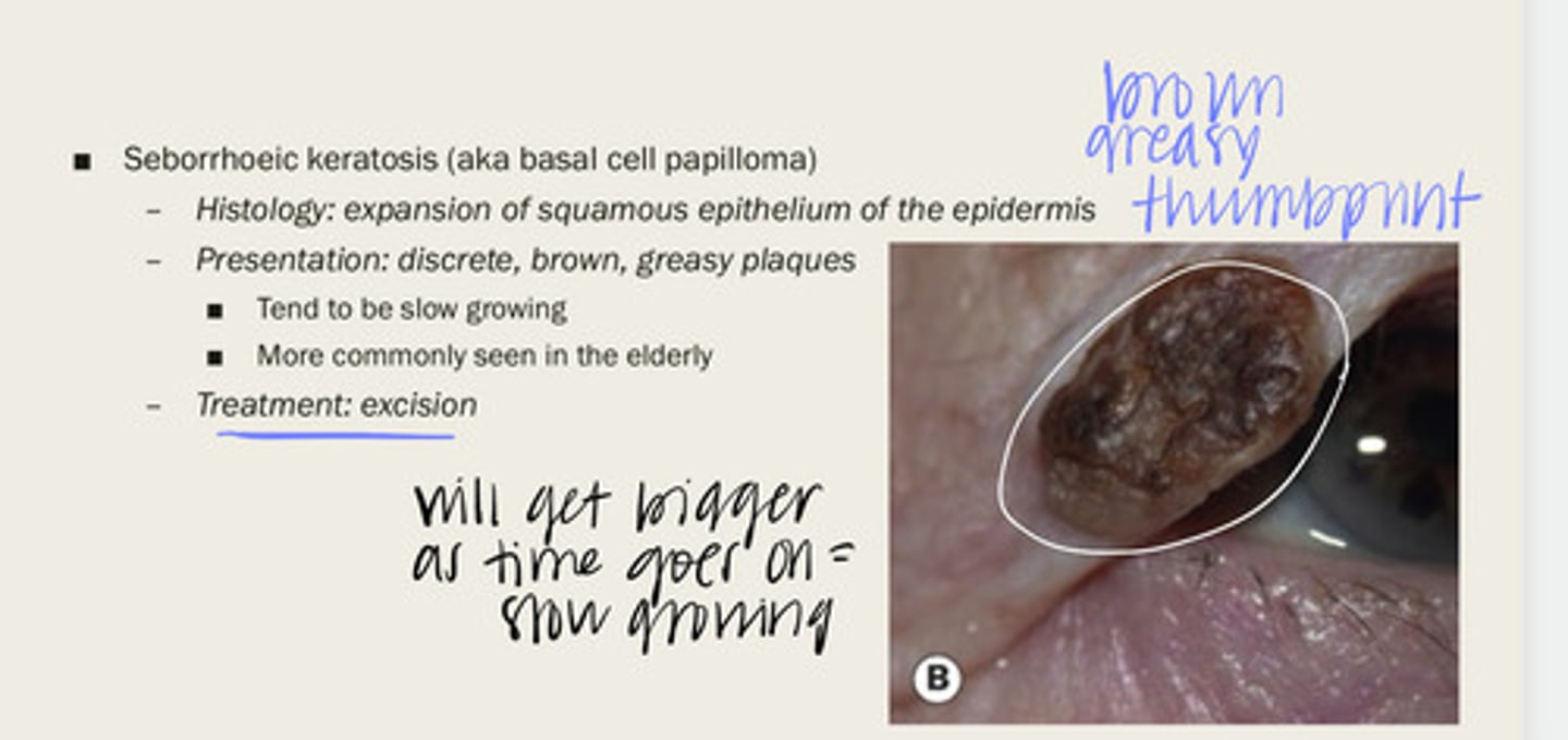 <p>What is the presentation of seborrhoeic keratosis?</p>