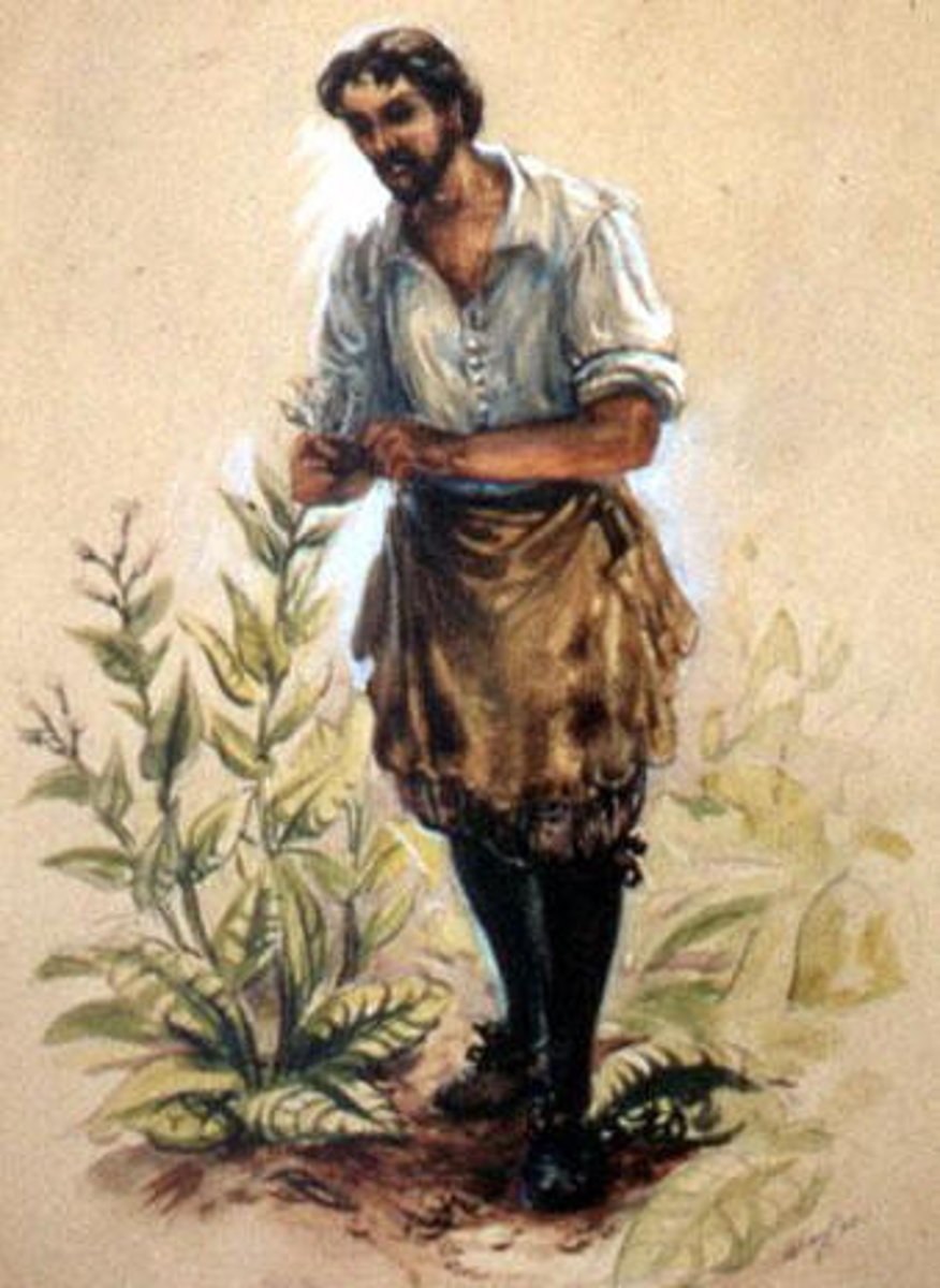 <p>Starts tobacco as a cash crop (the first one) and marries Pocahontas</p>