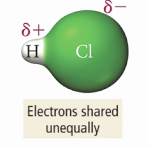 <p>…e- are more attracted towards the MORE ELECTRONEG atom</p><p>e- cloud is distorted, e- charge density is redistributed</p>