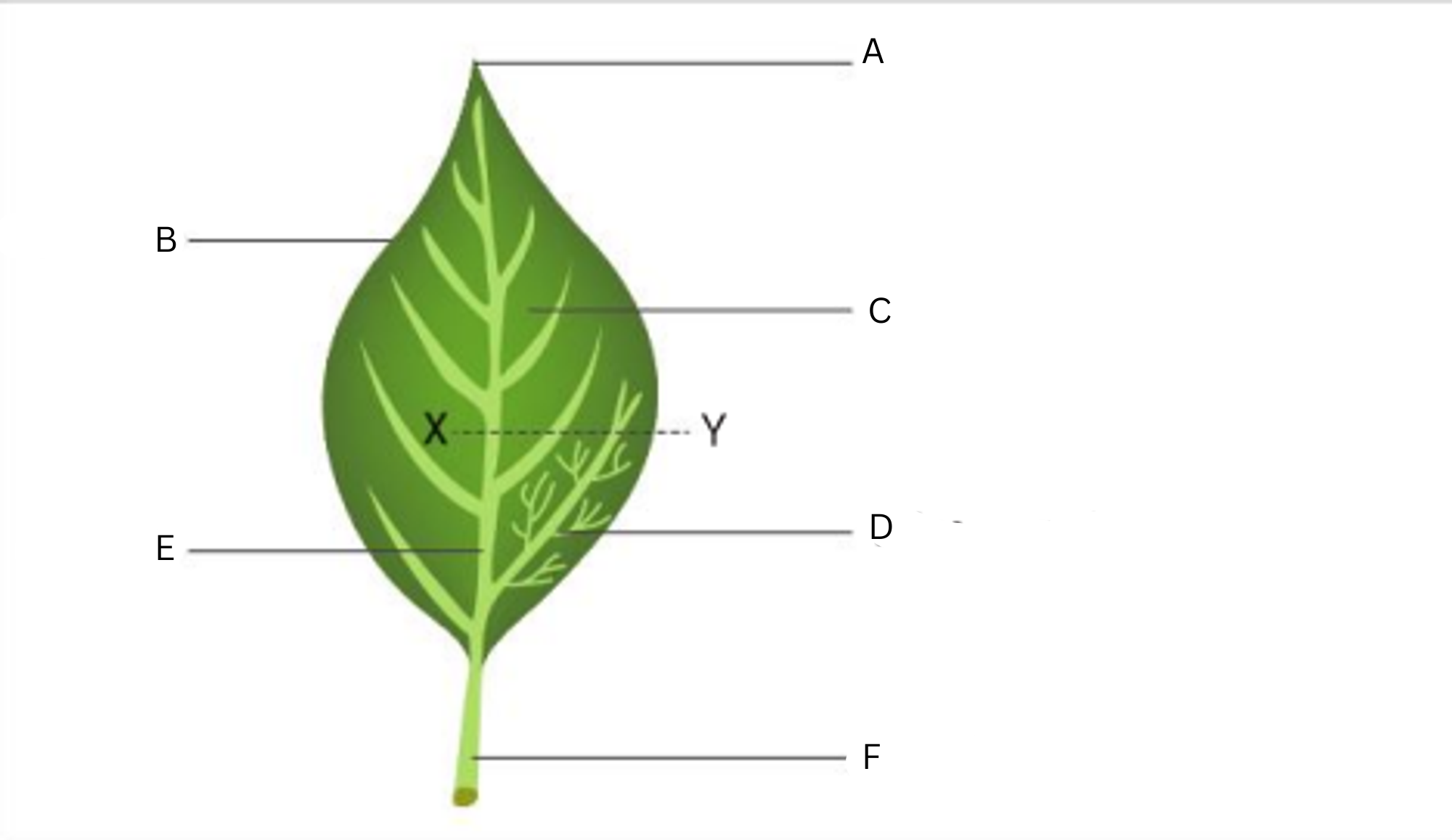 <p>Label this diagram (6)</p>
