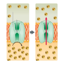 <p>These are ________ proteins</p>