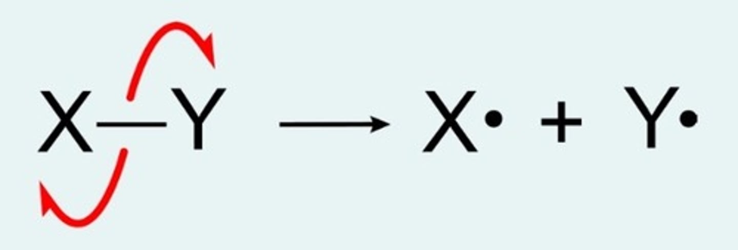 <p>- (breaking of a covalent bond where each atom receives one electron</p><p>- to <strong><u>form two free radicals</u></strong></p>
