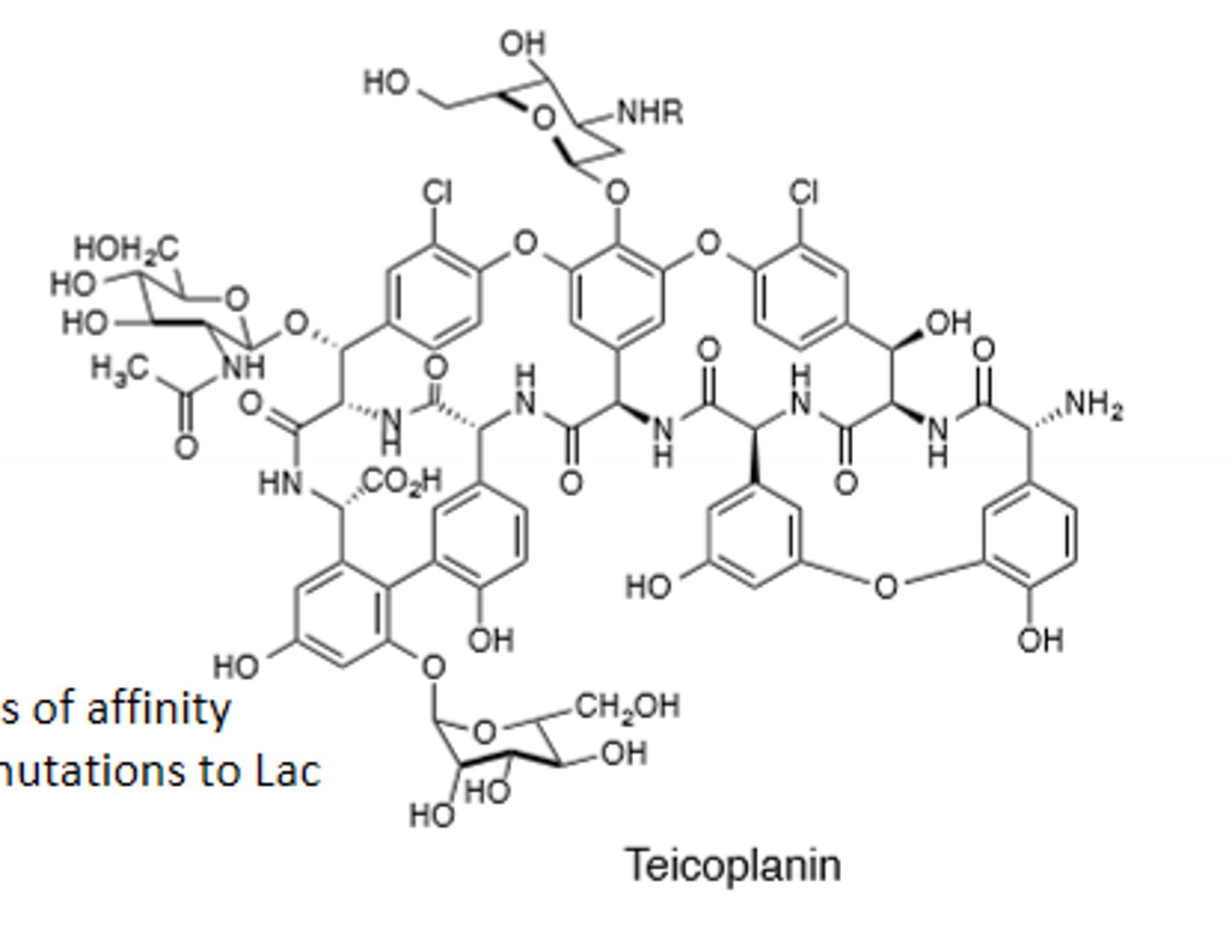 <p>Glycopeptide, not approved for use in the United States</p>