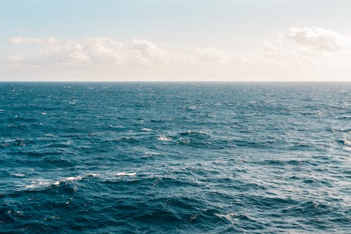 <p>a body of salt water that is smaller than an ocean and partially enclosed by land. </p>