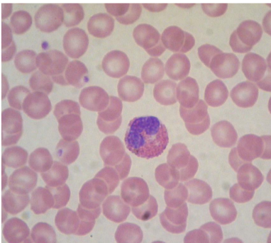 <p>what is this?</p>