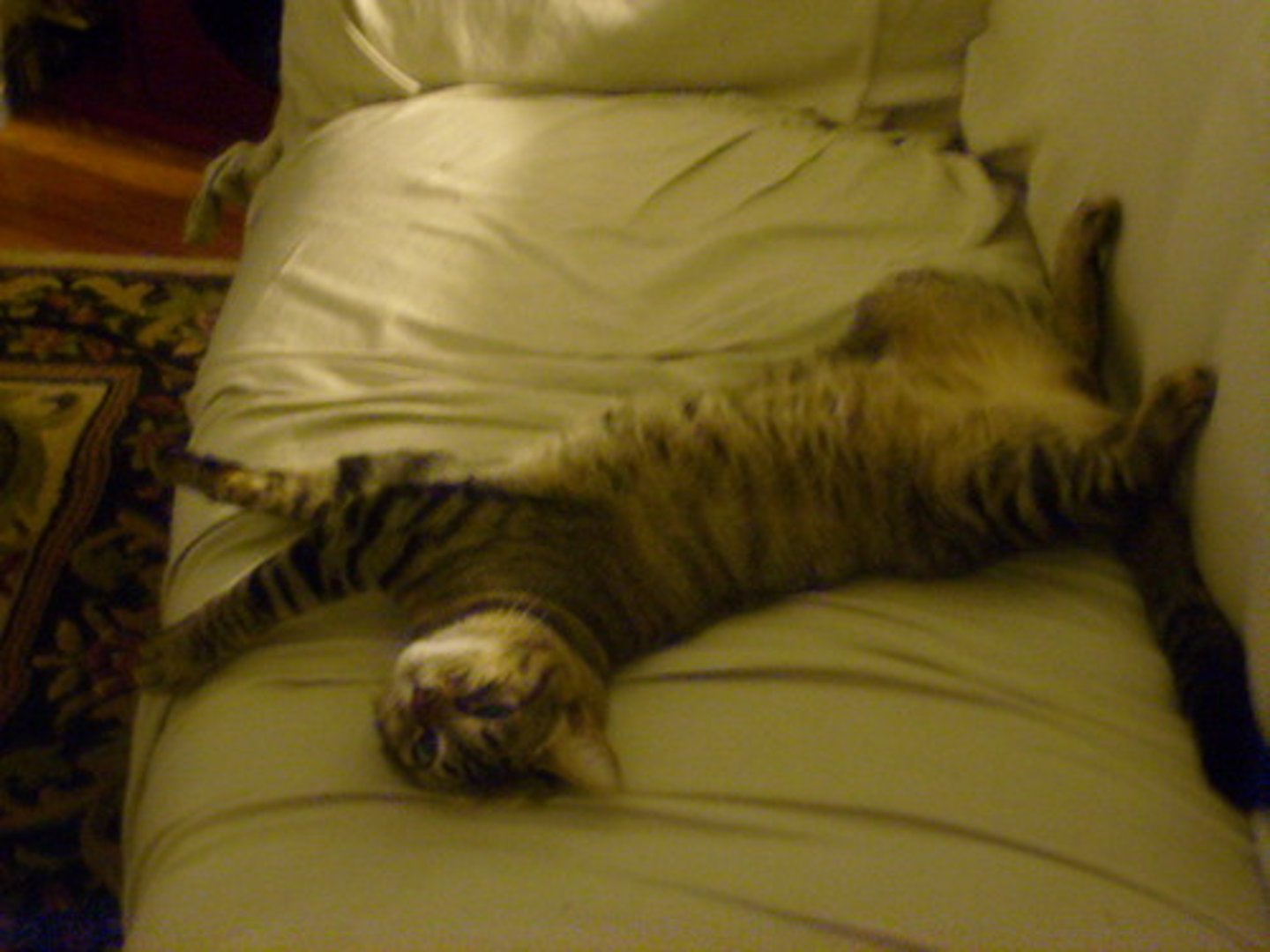 <p>shūfu — удобный, комфортный</p>