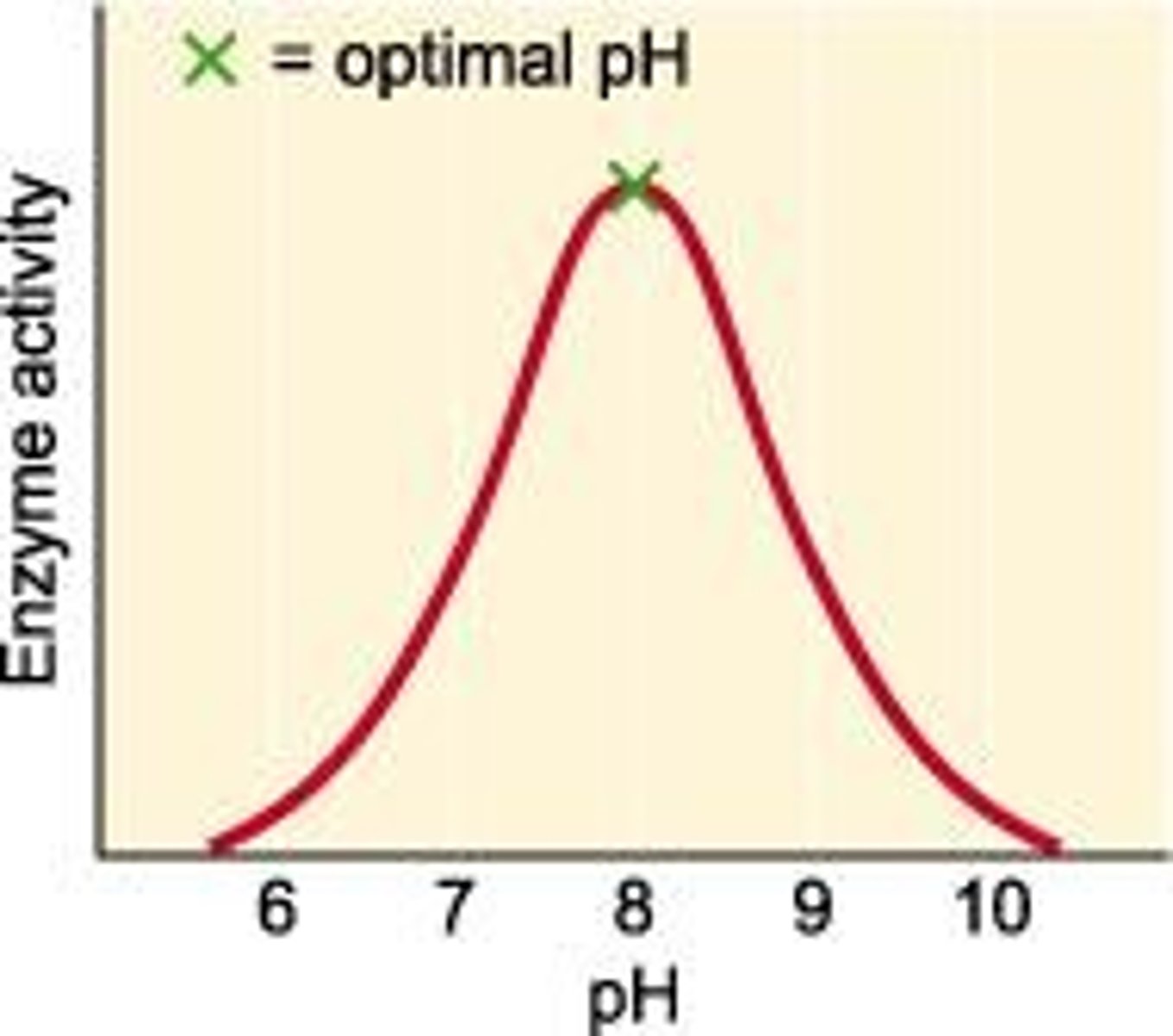 <p>The enzyme functions best at its optimum pH, represented by the peak of the rate of reaction graph.</p>