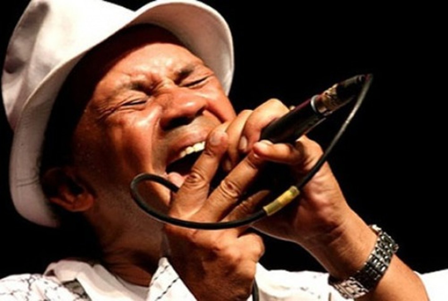 <p>a singer (male)</p>